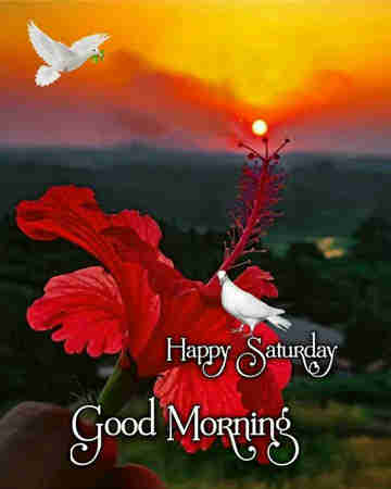 Good Morning Saturday